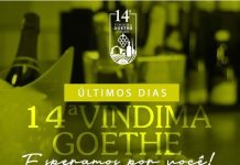 14ª VINDIMA GOETHE – ÚLTIMOS DIAS