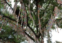 Forquilhinha promove campanha para arrecadar casquinhas de ovos pintadas que irão enfeitar Osterbaum