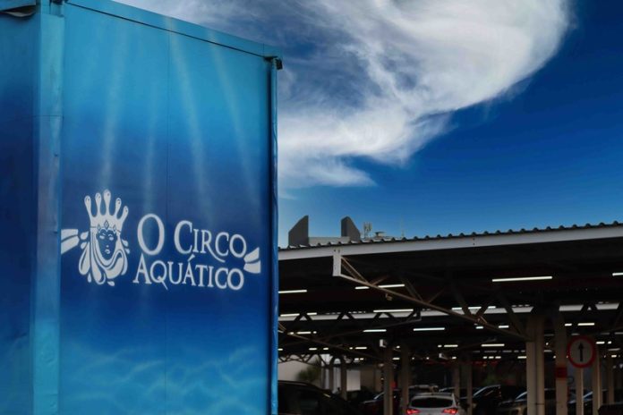 o-circo-aquatico