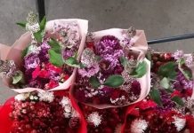 Festival de flores do Bistek anuncia chegada da primavera