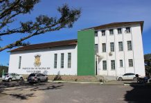 Secretaria de Obras de São Ludgero informa que no mês de dezembro podas de árvores devem ser colocadas nos dias 14 e 15 para recolhimento
