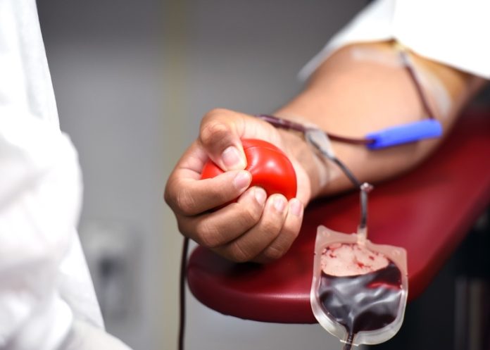 Doação de Sangue - Por Pixabay - Divulgação