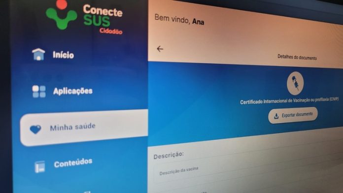 ConecteSUS - Por Ana Paula Nesi