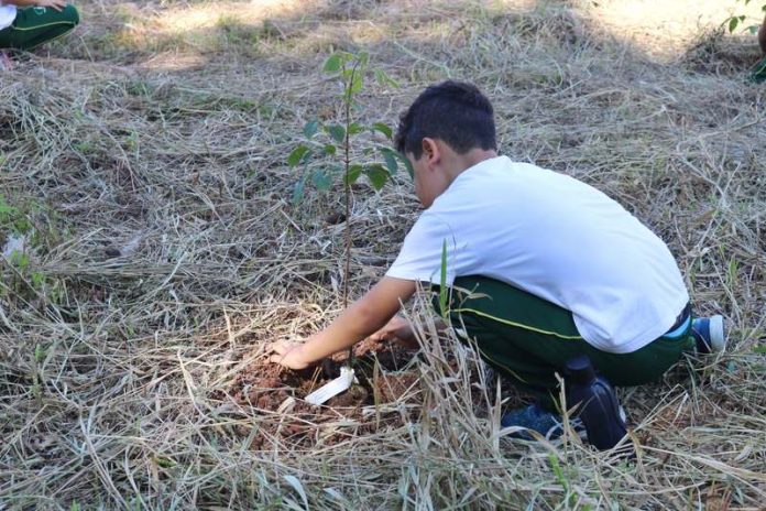 Crianças fazem plantio de árvores nativas da Mata Atlântica_Foto Émerson Justo (6)
