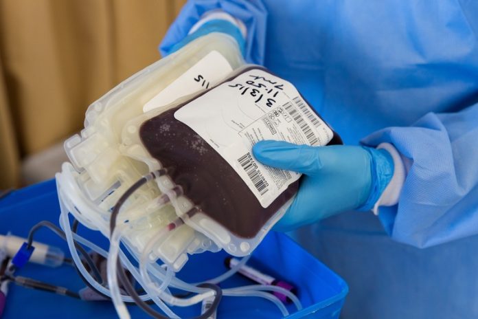 Doação de Sangue - Por Pixabay