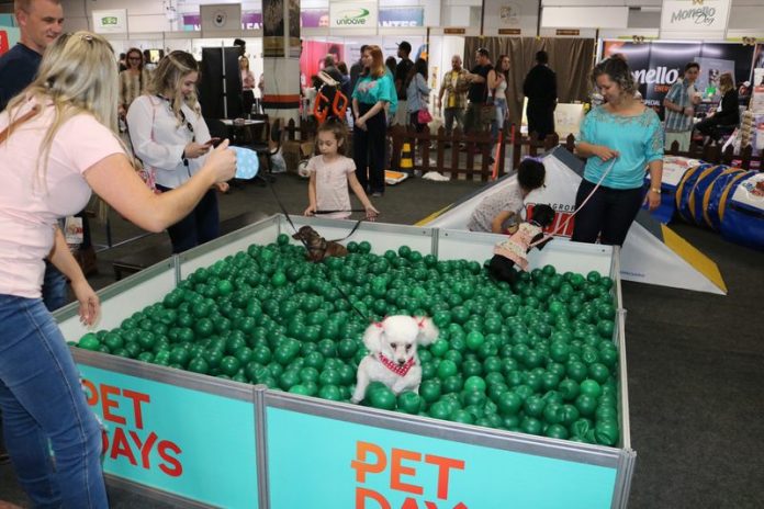 Pet Days - divulgação