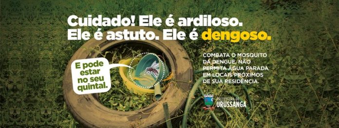 Dengue Campanha