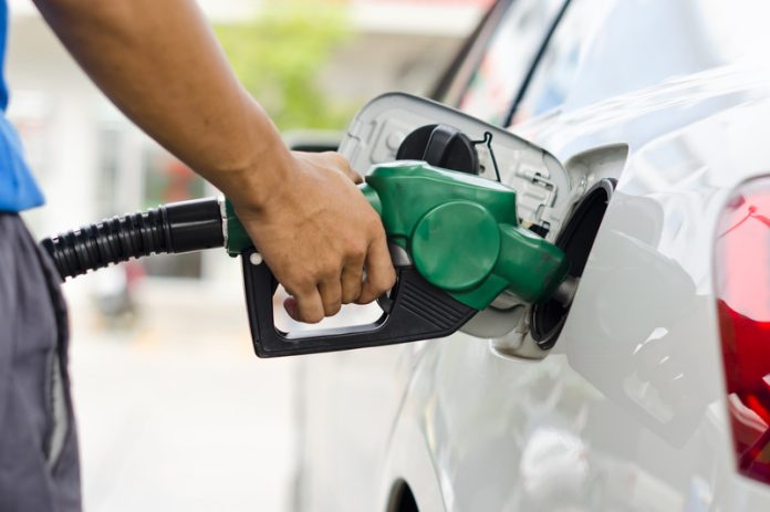 gasolina