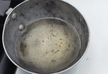 Gravatal registra primeiro foco de dengue do ano