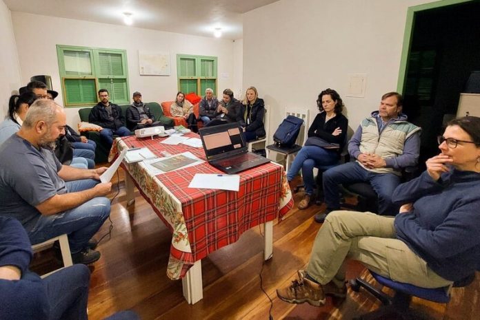 comite-tubarao