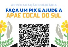 APAE de Cocal do Sul realiza pedágio solidário neste sábado