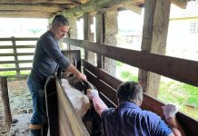 Pecuaristas recebem médico veterinário para atendimento especializado