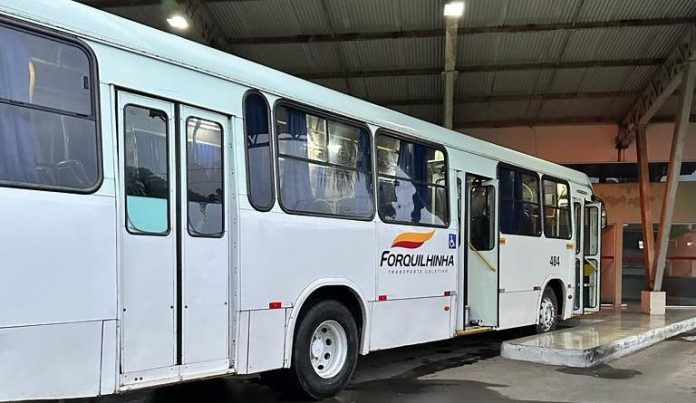 onibus-2-1-768x445