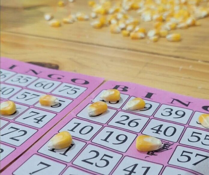 Bingo - Cartelas - Por Ana Paula Nesi