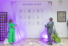 Galeria Lilás: Sessão Solene homenageará nove mulheres sul-cocalenses no dia 27 de março