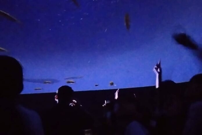 cinema etinerante (2)