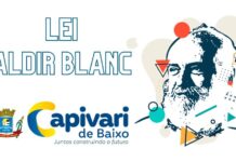 Oitiva sobre a Política Nacional Aldir Blanc será realizada nesta segunda-feira (20)