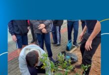 Alunos do Projeto Aqualuz plantam mudas de manacá-da-serra e ipê às margens da Rua Dona Gertrudes