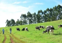 Epagri completa 33 anos: sustentabilidade é o nosso presente