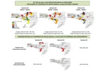 Monitoramento da cigarrinha-do-milho alerta: aumento abrupto na média estadual de incidência do inseto em SC