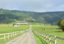 Epagri apresenta os resultados do agronegócio catarinense em 2024