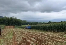 Urussanga recebe Seminário de Desenvolvimento Rural nesta quinta