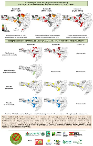 Monitora Milho SC - 25° INFORME - safra 2024.25