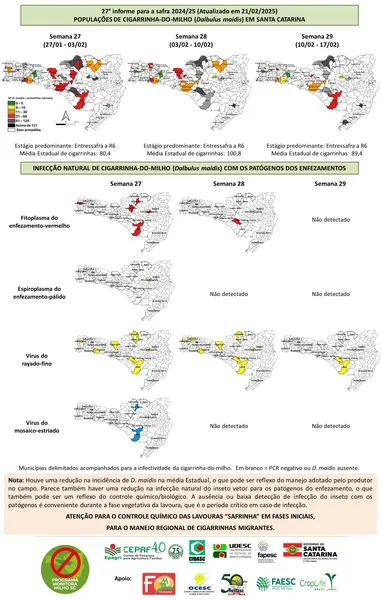 Monitora Milho SC - 27° INFORME - safra 2024.25