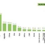 grafico