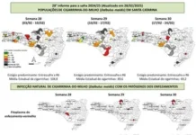 Encontro Sul-Brasileiro de Fitossanidade recebe trabalhos até o dia 30 de março