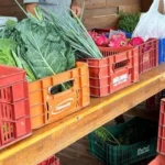 Feira Agricultura Familiar Morro da Fumaça