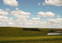 Epagri/Cepa mapeia preço das terras agrícolas em Santa Catarina