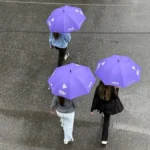guarda-chuvas
