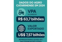 Agro catarinense fecha 2024 com R$ 63,7 bilhões e exportações recordes