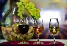Vinhos artesanais catarinenses ganham qualidade para entrar no mercado