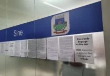 Mais de 220 vagas de emprego disponíveis no Sine de Morro da Fumaça