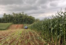 Urussanga vai discutir a transformação do campo na 1ª Conferência de Desenvolvimento Rural