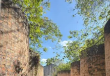 Vinícola Caruso Mac Donald é tombada como Patrimônio Histórico de Urussanga