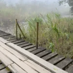 ponte – São Pedro_Easy-Resize.com