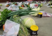 Alimentos são distribuídos para entidades e famílias em situação de vulnerabilidade em Urussanga