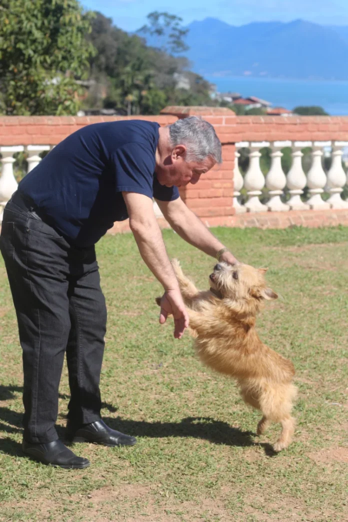 Dia Estadual de Conscientização sobre a Castração Animal_batcheditor_fotor