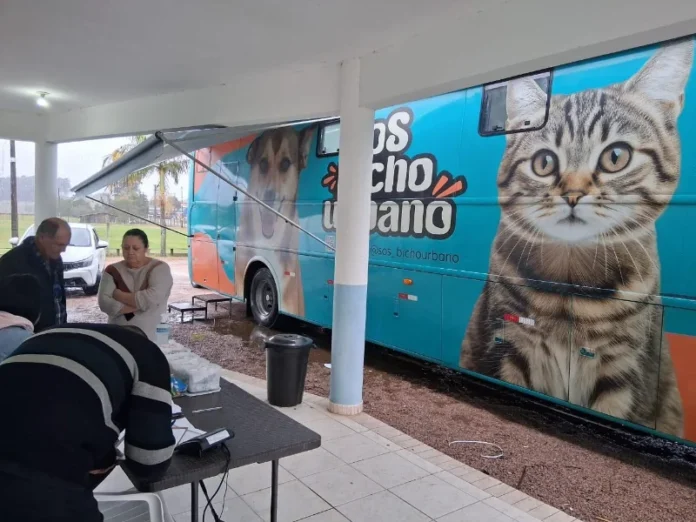 WhatsApp Image 2025-08-25 at 13.46.50_batcheditor_fotor