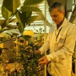 erwcrewa_batcheditor_fotor