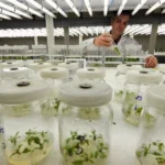 gerwdwsdef_batcheditor_fotor