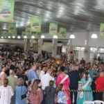 público2_batcheditor_fotor