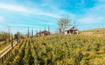 Últimos dias para inscrição no Concurso Fotográfico do Meio Ambiente de Morro da Fumaça