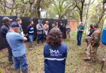 ASSIMA marca história e projeta fortalecimento da carreira dos servidores do IMA