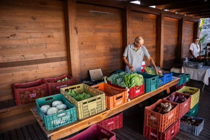Feira_Agricultura_Familiar_Morro_da_Fumaca_1-ZbE6Ow