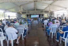 Santa Catarina Inicia Colheita de Arroz com Grande Expectativa