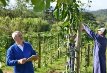 Epagri e Governo do Estado vão investir R$ 7,8 milhões em projetos de pesquisa para impulsionar inovação na agropecuária